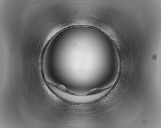 X0000091220998200708091404
