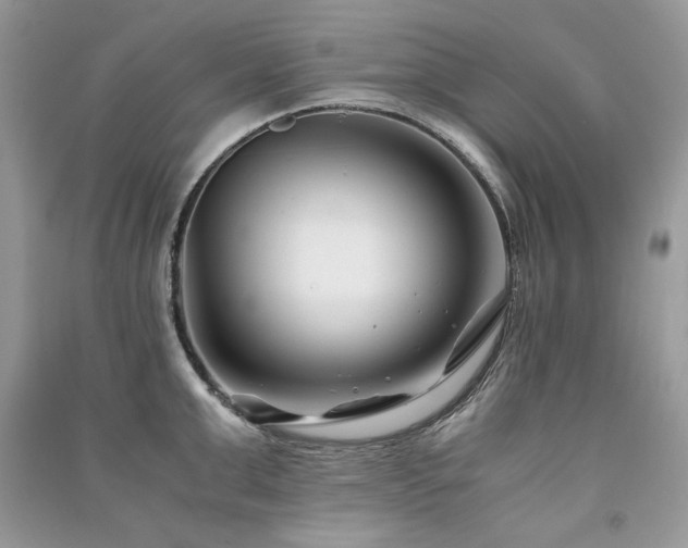 X0000091220999200708091404