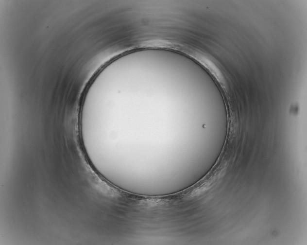 X0000091221000200708091404