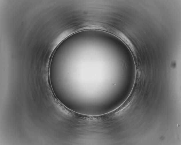 X0000091221002200708091404