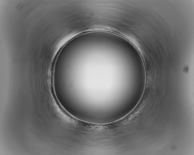 X0000091221003200708091404