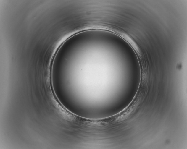 X0000091221004200708091404