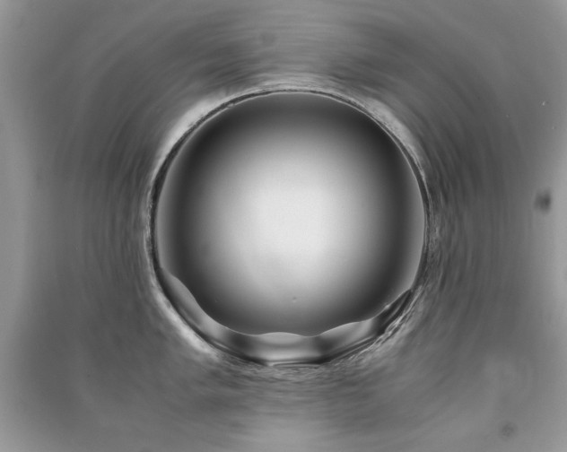 X0000091221005200708091404