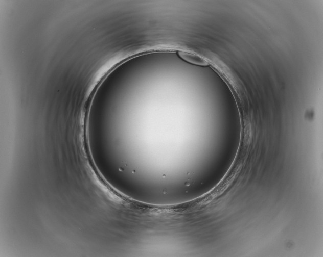 X0000091221006200708091404