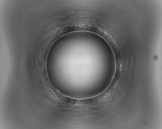 X0000091221009200708091404
