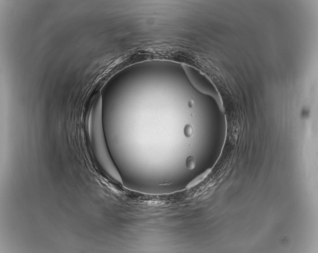 X0000091221010200708091404