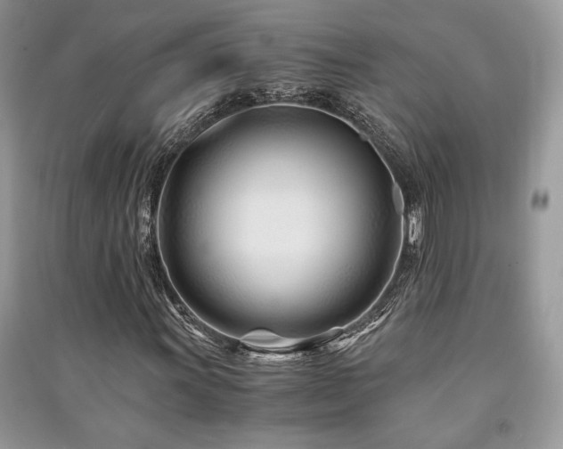 X0000091221011200708091404