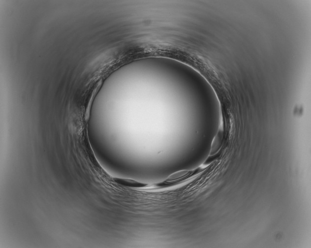 X0000091221012200708091404
