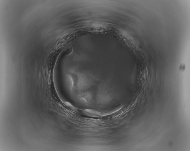 X0000091221013200708091404