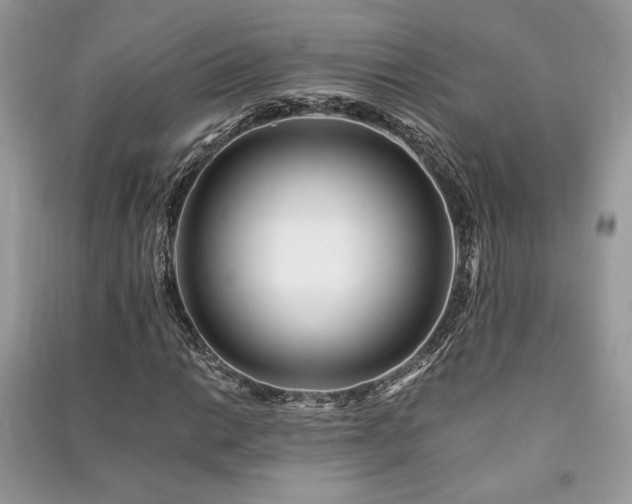 X0000091221014200708091404
