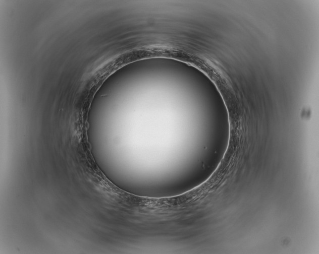 X0000091221015200708091404