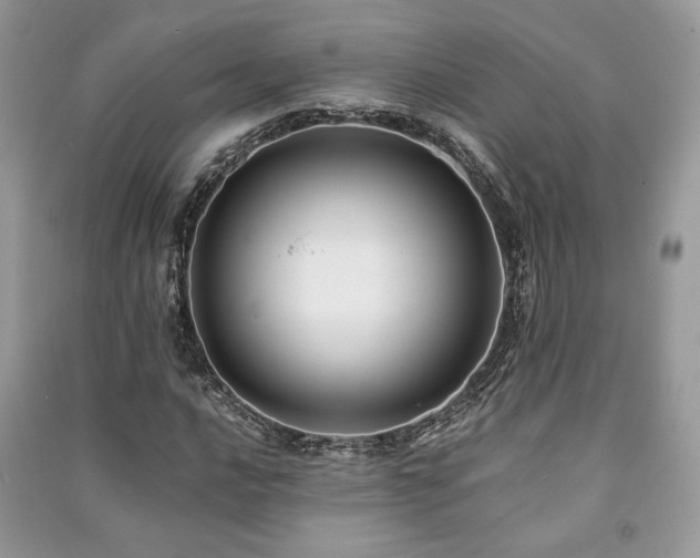X0000091221016200708091404