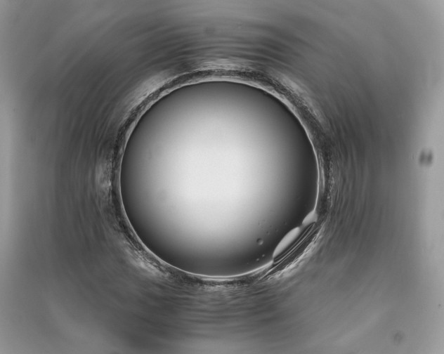 X0000091221017200708091404