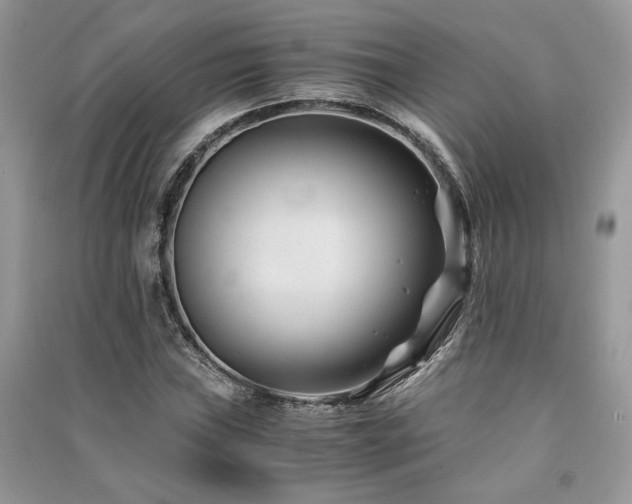 X0000091221019200708091404
