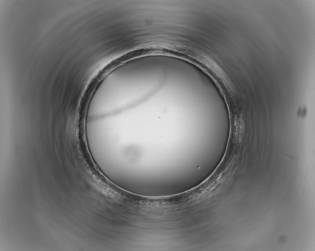 X0000091221020200708091404