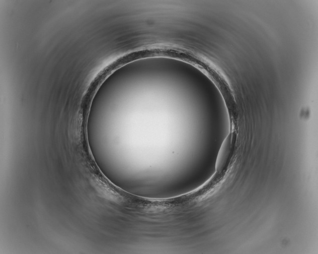 X0000091221021200708091404
