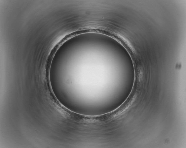 X0000091221023200708091404