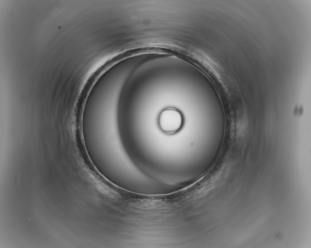 X0000091221024200708091404