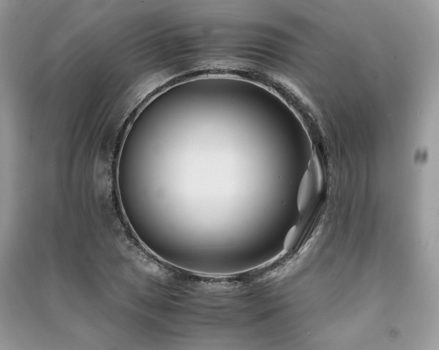 X0000091221025200708091404