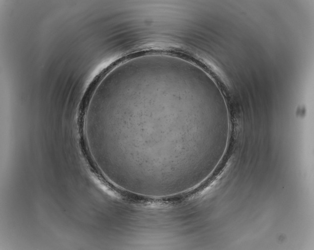 X0000091221026200708091404