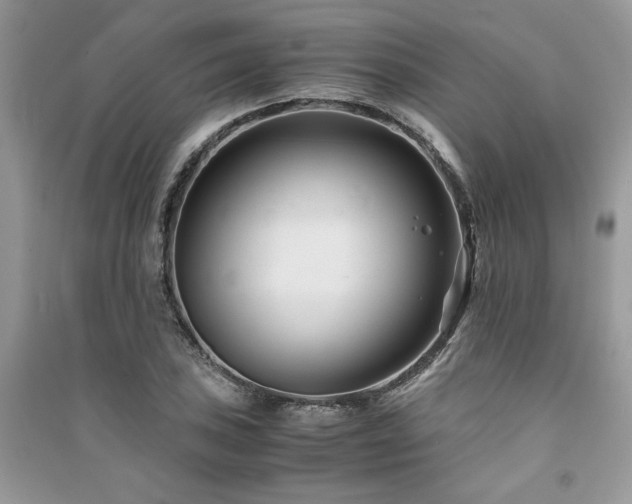 X0000091221027200708091404