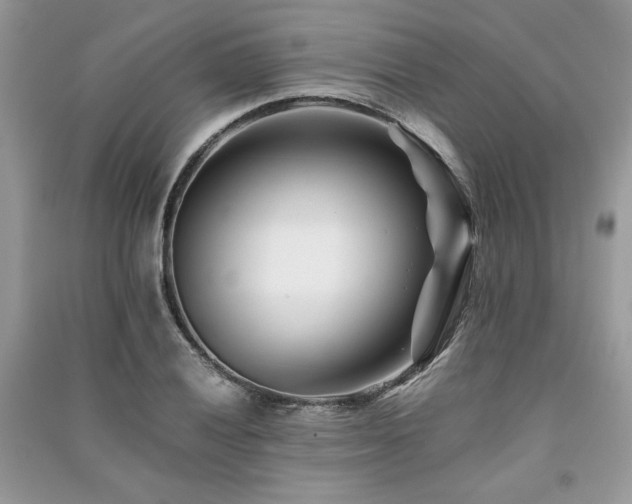 X0000091221028200708091404