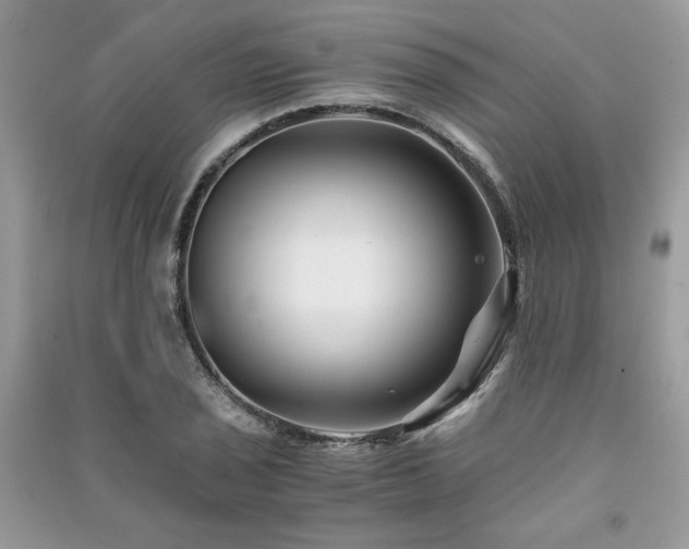 X0000091221029200708091404