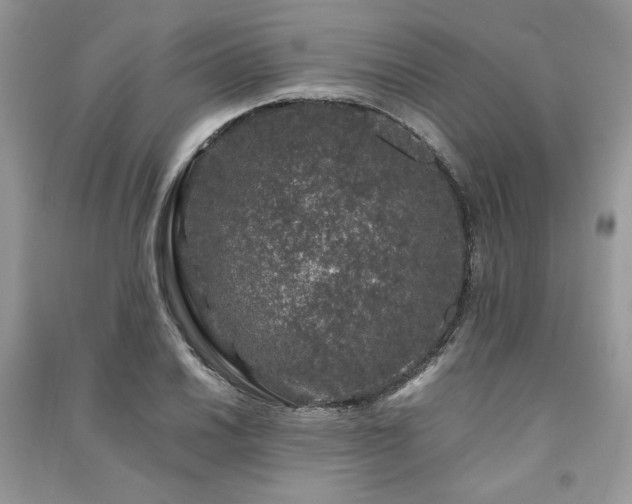 X0000091221030200708091404