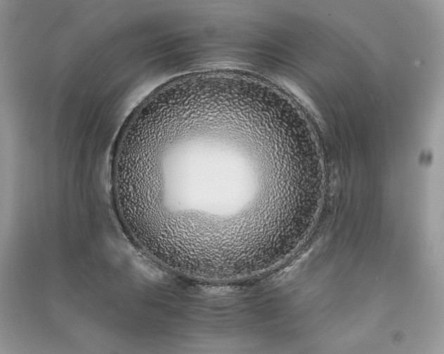 X0000091221031200708091404