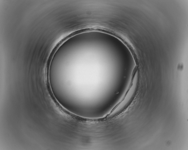 X0000091221032200708091404
