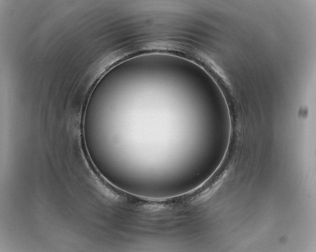 X0000091221033200708091404