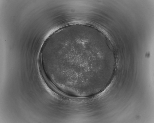 X0000091221034200708091404