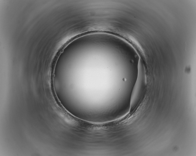 X0000091221035200708091404