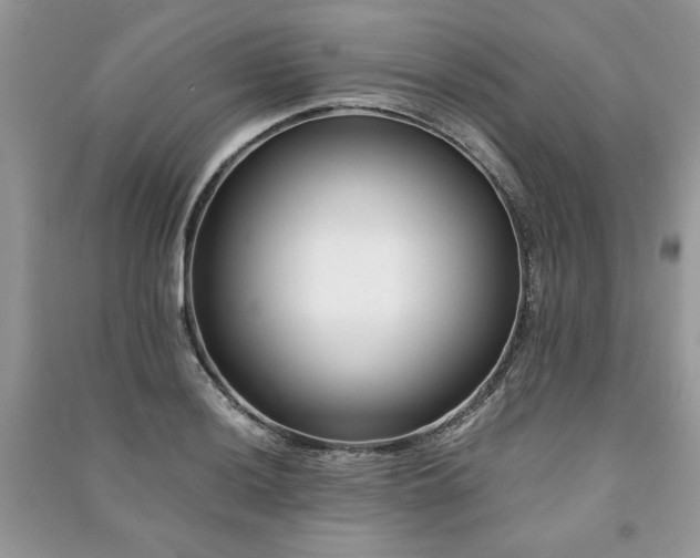 X0000091221036200708091404