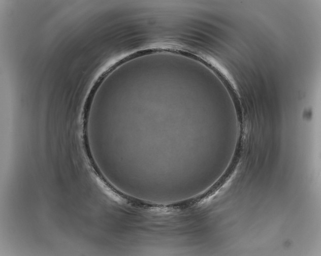 X0000091221037200708091404