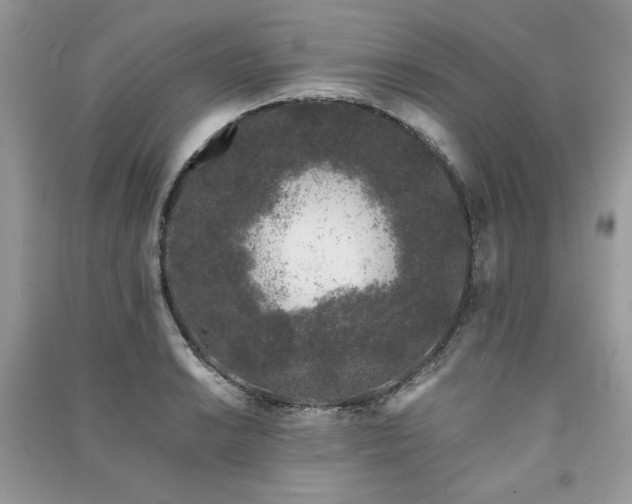 X0000091221038200708091404