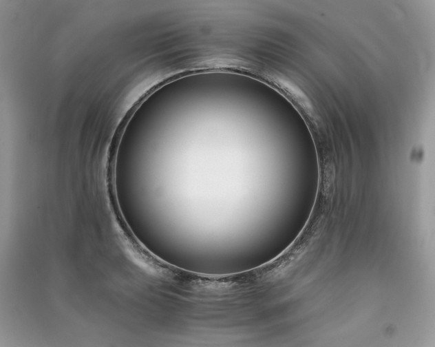 X0000091221039200708091404