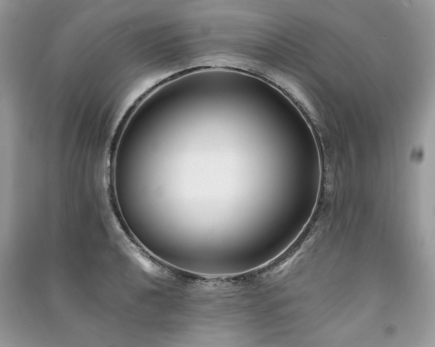 X0000091221040200708091404