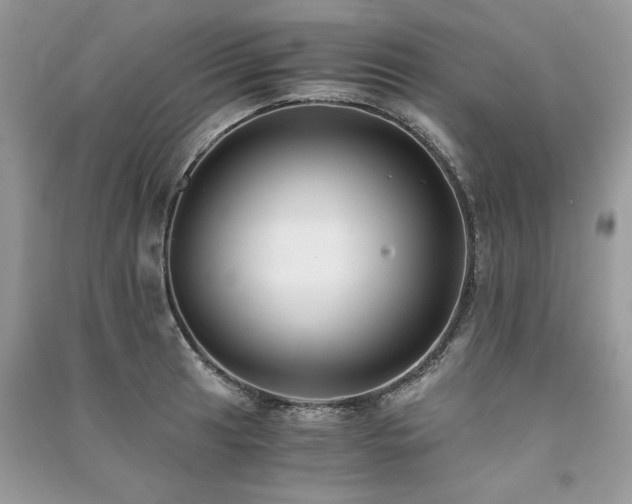 X0000091221041200708091404