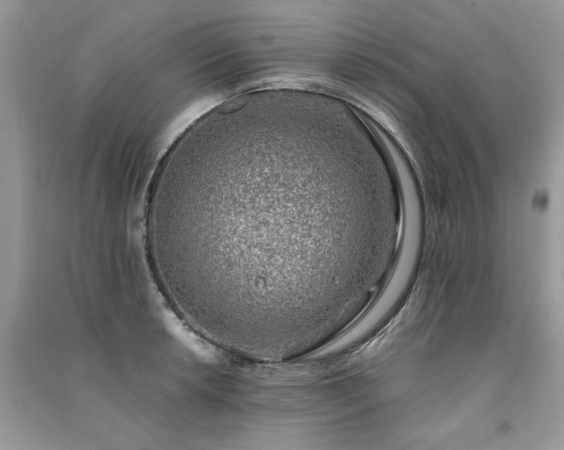 X0000091221042200708091404