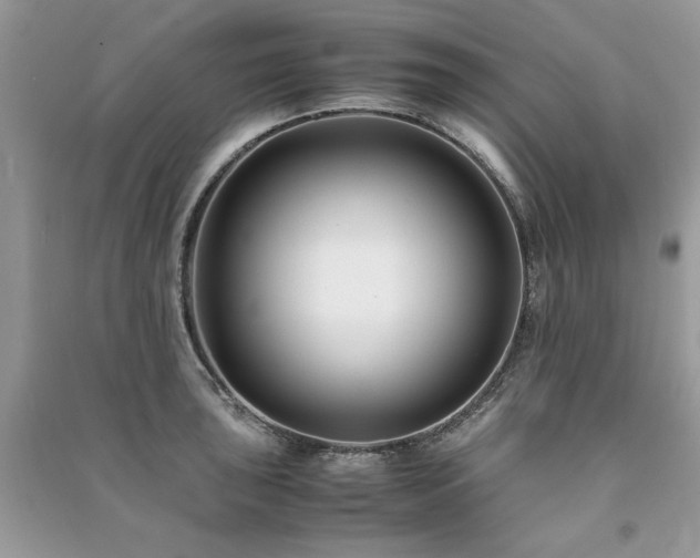 X0000091221043200708091404