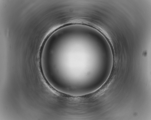 X0000091221045200708091404