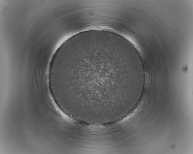 X0000091221046200708091404