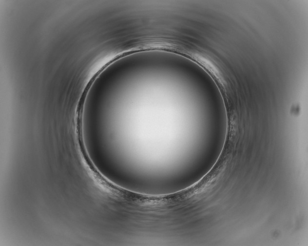 X0000091221047200708091404