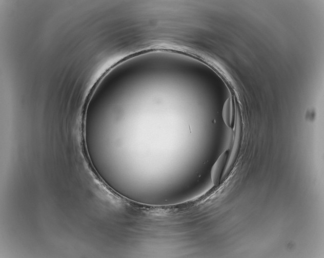 X0000091221048200708091404