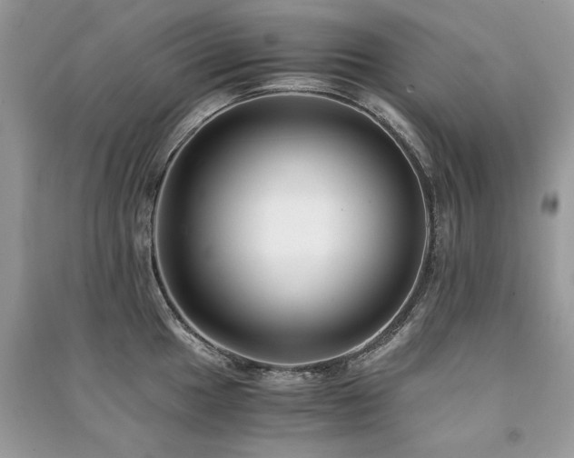 X0000091221049200708091404
