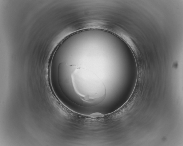 X0000091221051200708091404