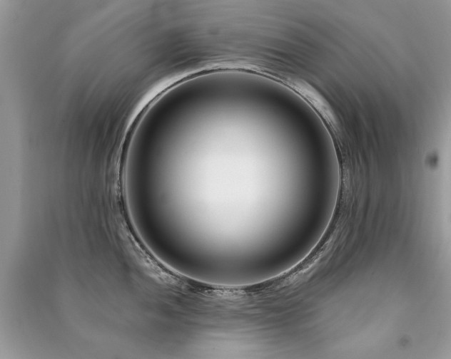 X0000091221052200708091404