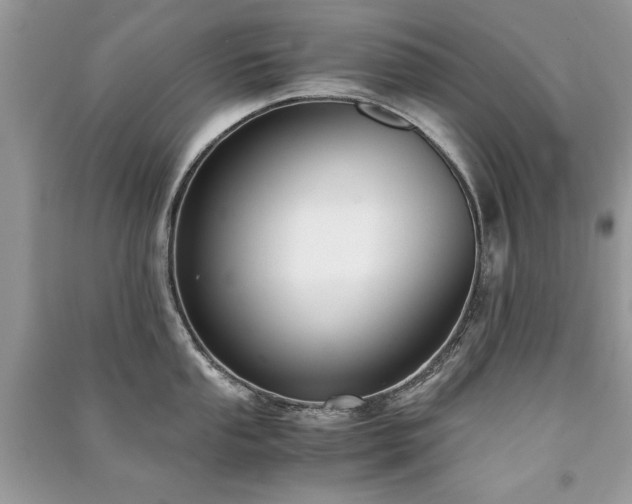 X0000091221053200708091404