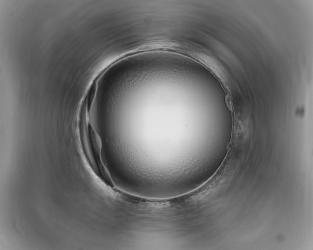 X0000091221055200708091404
